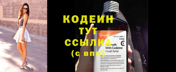 амф Калининец