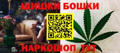 прущие крисы Новозыбков
