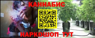 прущие крисы Новозыбков