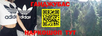 прущие крисы Новозыбков
