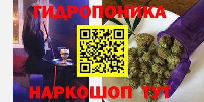 прущие крисы Новозыбков