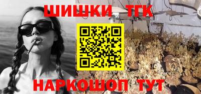 прущие крисы Новозыбков