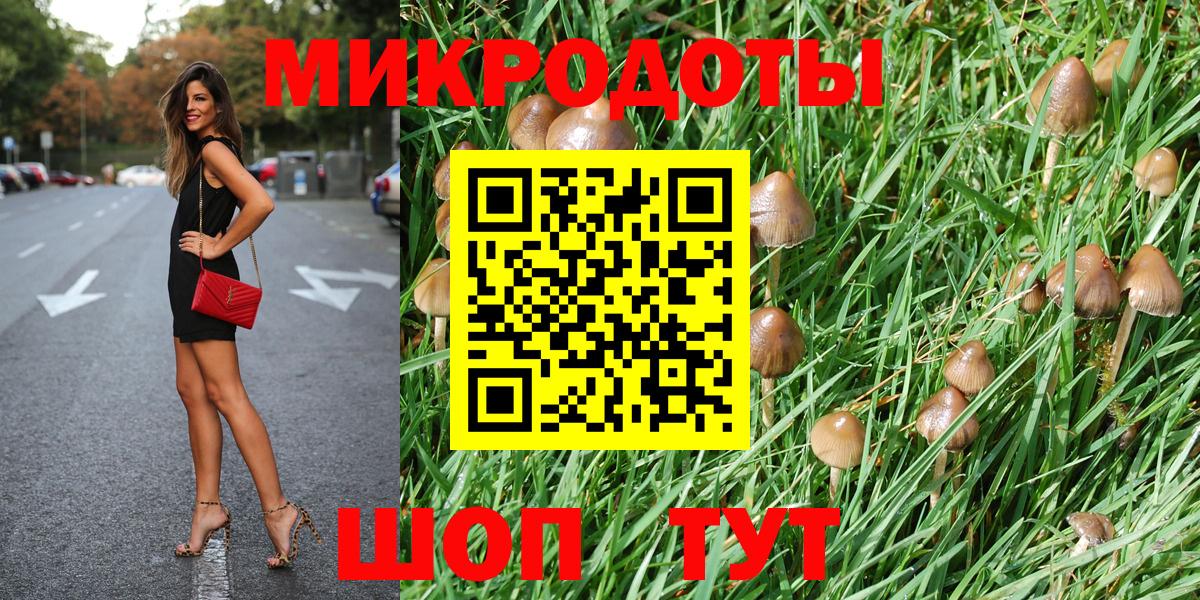 Псилоцибиновые грибы мицелий Севастополь