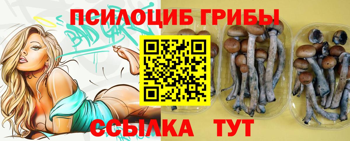 Псилоцибиновые грибы MAGIC MUSHROOMS  цены наркотик  Севастополь  Вход с VPN 